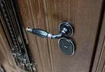 Дверь Цербер 10 DIS00732 фото